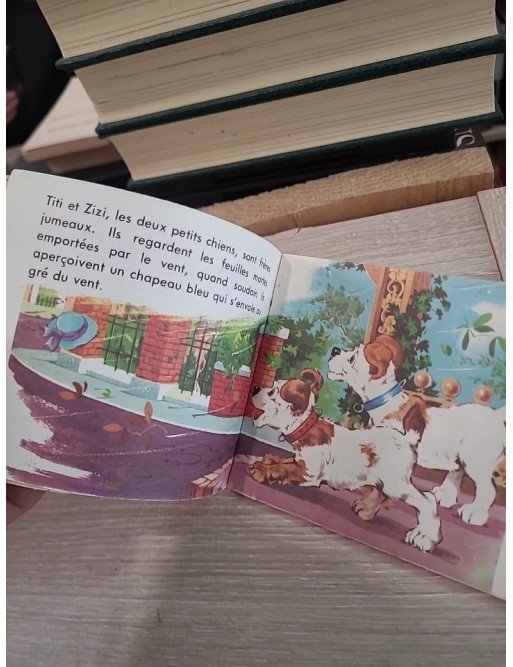 Titi et Zizi aiment les biscuits