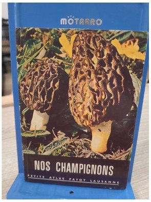 Nos champignons - Petit atlas Payot Lausanne