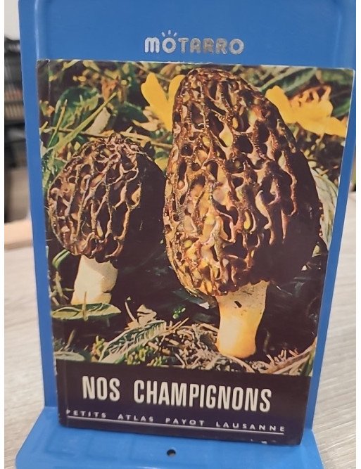 Nos champignons - Petit atlas Payot Lausanne