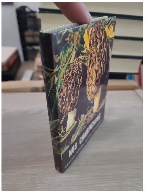 Nos champignons - Petit atlas Payot Lausanne