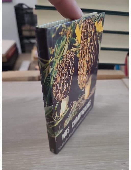 Nos champignons - Petit atlas Payot Lausanne