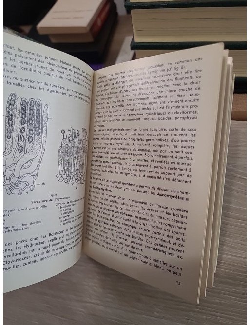 Nos champignons - Petit atlas Payot Lausanne