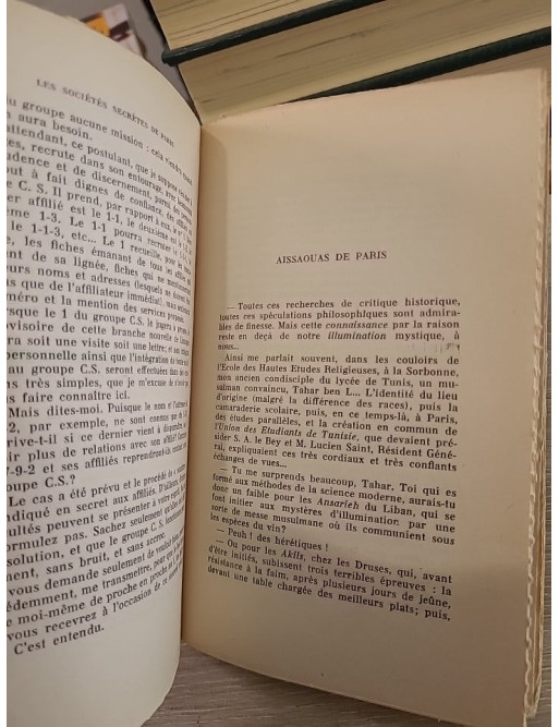 Les sociétés secrètes de Paris : parmi les sectes et les rites