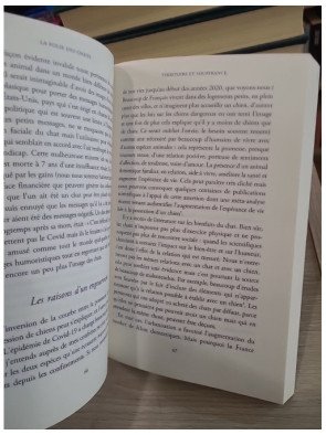 La Folie des chats - Claude Béata