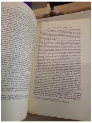 Les castes de l'Inde - J. H. Hutton