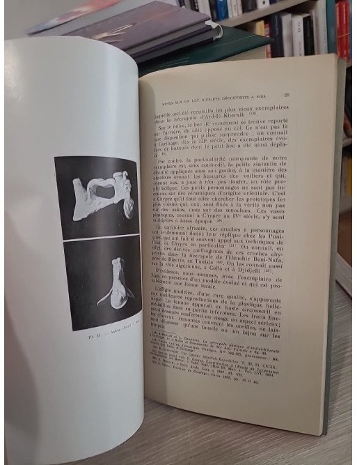 Tome 76 - Bulletin trimestriel de la Société de Géographie et Archéologie de la Province d'Oran