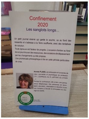 Confinement 2020 - Les sanglots longs - Alomée Planel