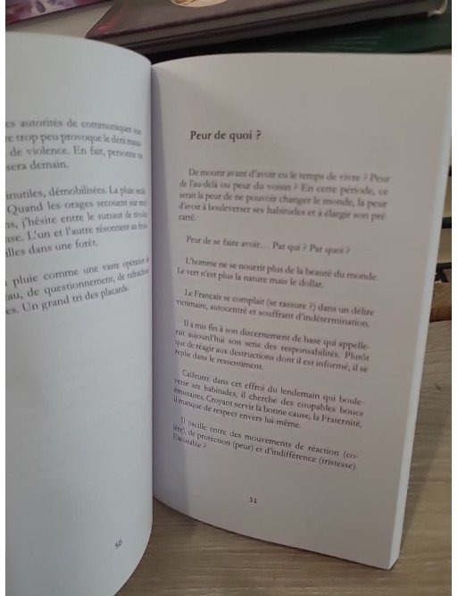 Confinement 2020 - Les sanglots longs - Alomée Planel