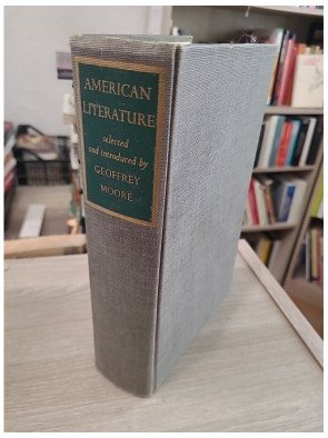 American Literature - A Representative Anthology of American Writing from Colonial Times to the Present - Geoffrey Moore