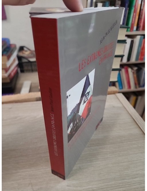 Les extrêmes droites en France : de la traversée du désert à l'ascension du Front National (1945-2008)