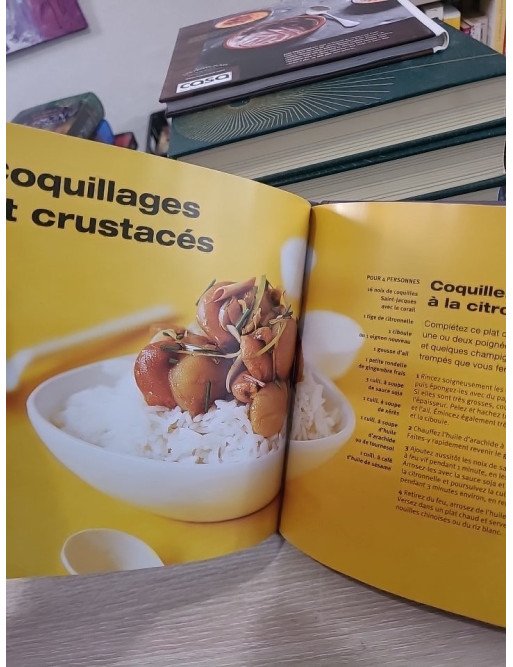 Wok – Nouvelles variations gourmandes : 30 recettes salées et sucrées au wok