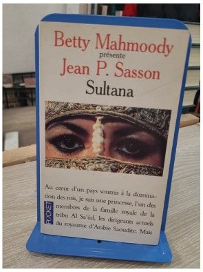 Sultana – témoignage d'une princesse saoudienne