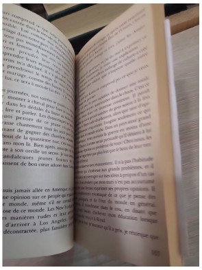 Sultana – témoignage d'une princesse saoudienne