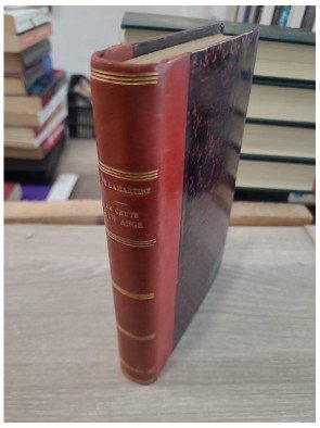 La Chute d'un ange – épisode