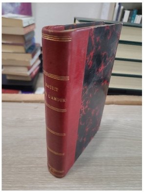 Maudit soit l'Amour ! (Classic Reprint)