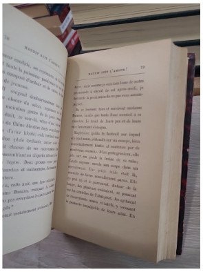 Maudit soit l'Amour ! (Classic Reprint)