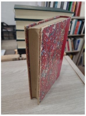 Les Vierges fortes : Léa