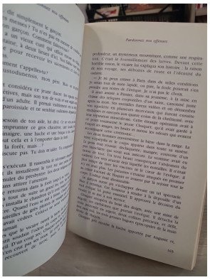 Pardonnez nos offenses – roman historique et mystère médiéval