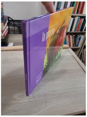 Et tout commence avec la pomme