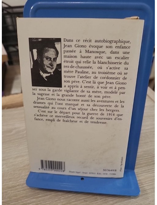 Jean le bleu - Jean Giono