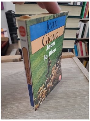 Jean le bleu - Jean Giono
