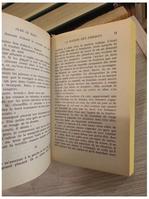 Jean le bleu - Jean Giono