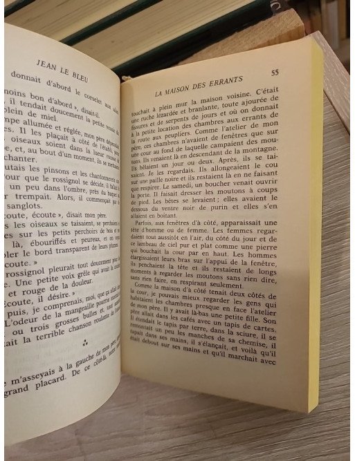 Jean le bleu - Jean Giono