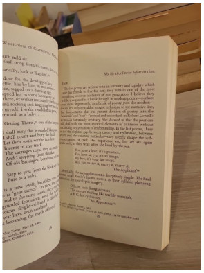 The Art of Sylvia Plath – Analyse critique de l’œuvre poétique par Charles Newman