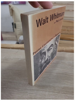 Walt Whitman – Une étude et un choix de poèmes avec dessins et portraits