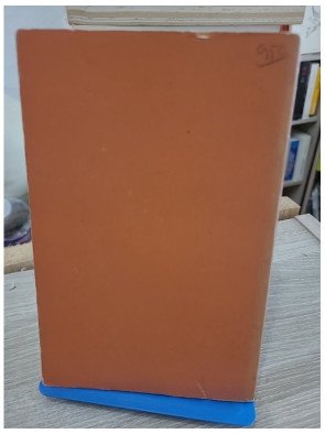 The Pioneers – Roman classique de la frontière américaine