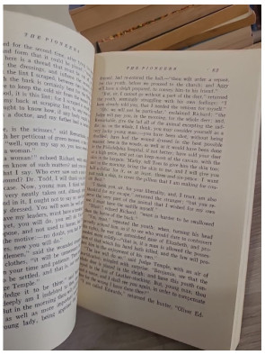 The Pioneers – Roman classique de la frontière américaine