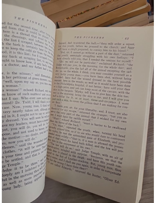 The Pioneers – Roman classique de la frontière américaine