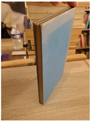 Shakespeare and Myself – Réflexions humoristiques autour de Shakespeare