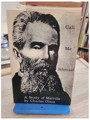 Call Me Ishmael – Essai littéraire sur Moby-Dick et la tradition américaine