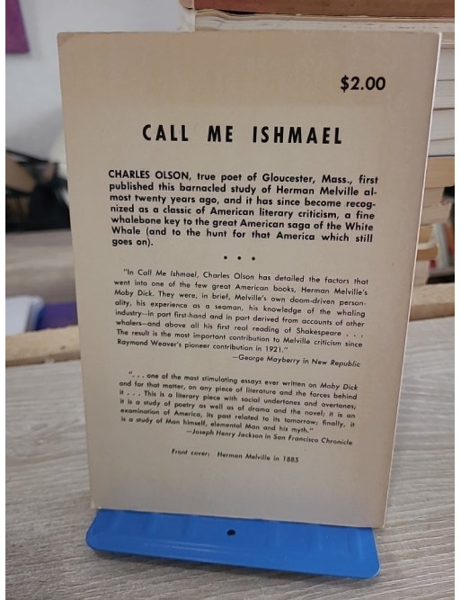 Call Me Ishmael – Essai littéraire sur Moby-Dick et la tradition américaine
