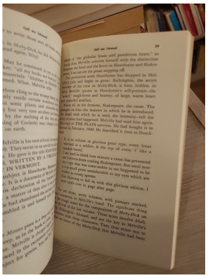 Call Me Ishmael – Essai littéraire sur Moby-Dick et la tradition américaine