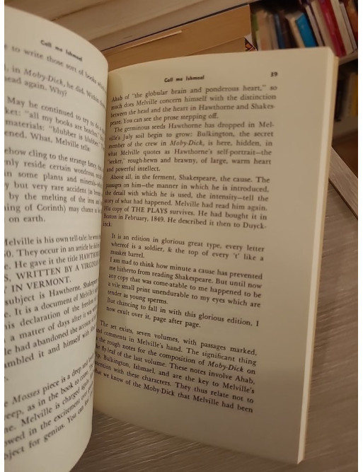 Call Me Ishmael – Essai littéraire sur Moby-Dick et la tradition américaine