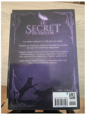 Le Secret du Faucon tomes 1 à 5 de A.D. Martel