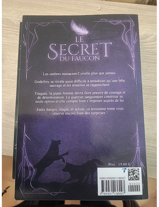 Le Secret du Faucon tomes 1 à 5 de A.D. Martel