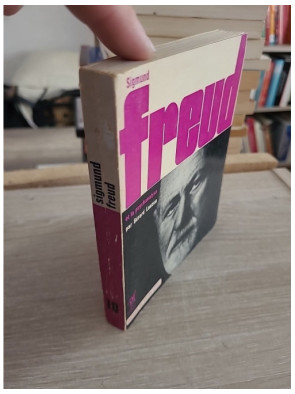 Sigmund Freud et la psychanalyse – Introduction à la pensée freudienne