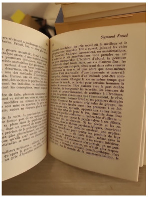 Sigmund Freud et la psychanalyse – Introduction à la pensée freudienne
