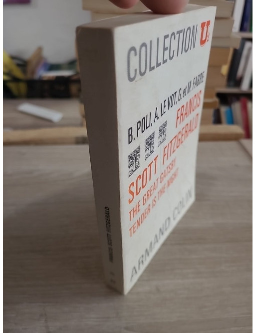 Tender is the Night de F. Scott Fitzgerald - Analyse littéraire et étude critique