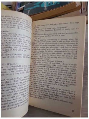 The Ginger Man - Roman culte de la littérature irlandaise (Olympia Press, Traveller's Companion)