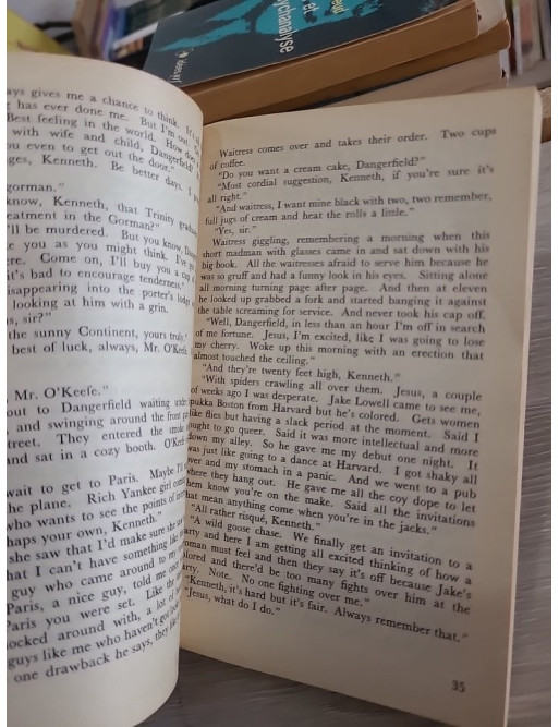 The Ginger Man - Roman culte de la littérature irlandaise (Olympia Press, Traveller's Companion)