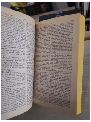 Pocket Dictionary of American Slang - Guide complet de l’argot anglais