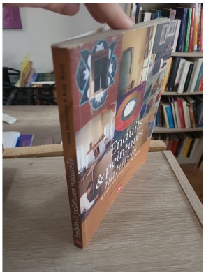 Enduits et peintures naturels à base de chaux ou de terre - Techniques écologiques et recettes