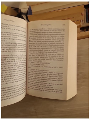 La Guerre et la Paix – Tome 1 (édition Le Livre de Poche, traduction Élisabeth Guertik)