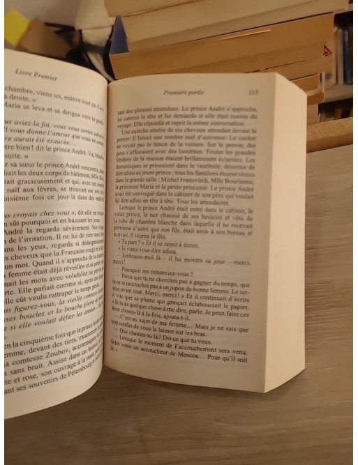 La Guerre et la Paix – Tome 1 (édition Le Livre de Poche, traduction Élisabeth Guertik)