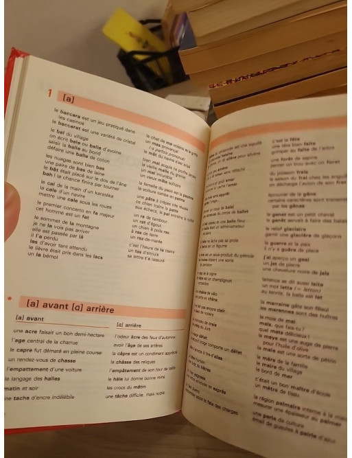 L'orthographe pour tous – Guide pratique Bescherelle