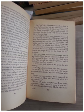 Tortilla Flat – Roman de John Steinbeck (Folio n°897)